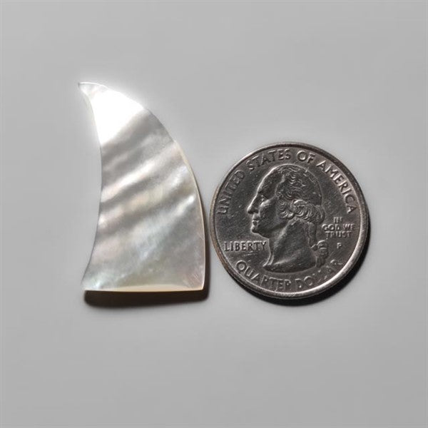 Mother Of Pearl Shark Fin Carving