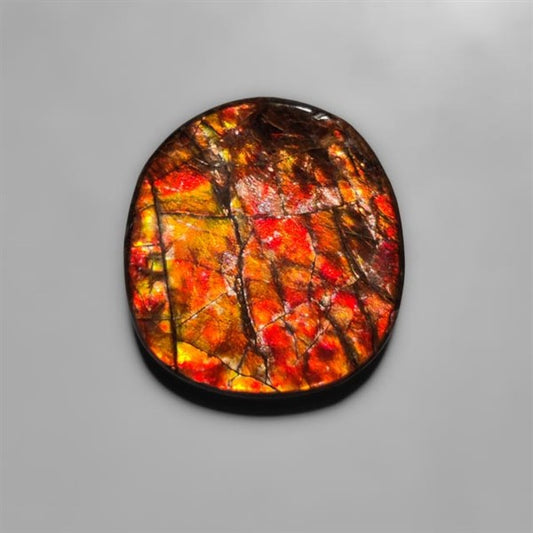 Ammolite