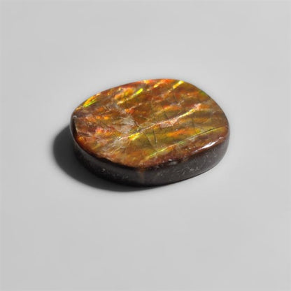 Ammolite