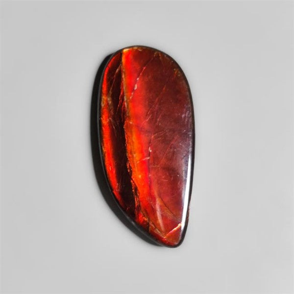 Ammolite