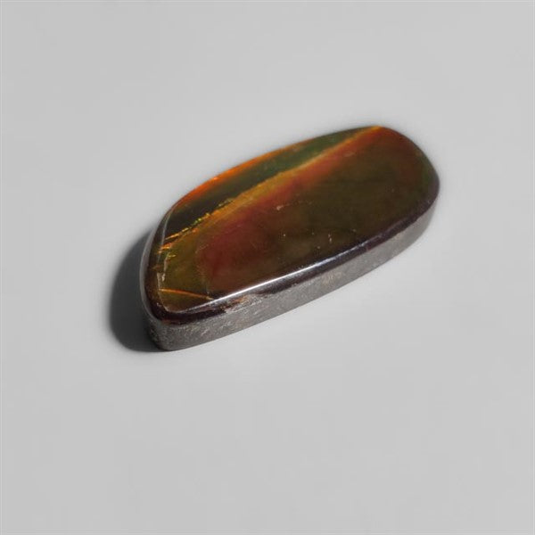 Ammolite