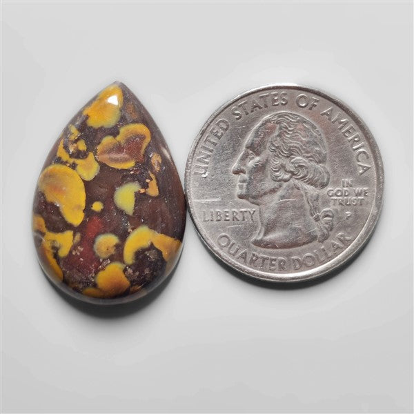 Fruit Jasper Cabochon