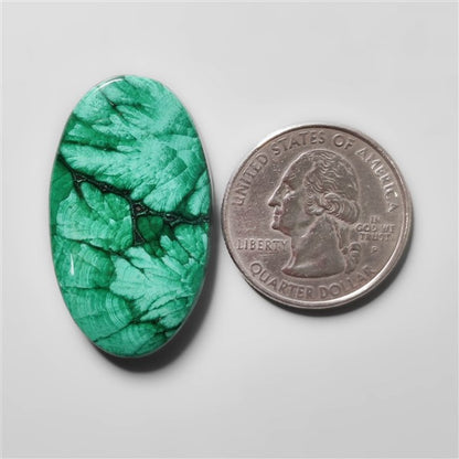 Selected Congo Malachite