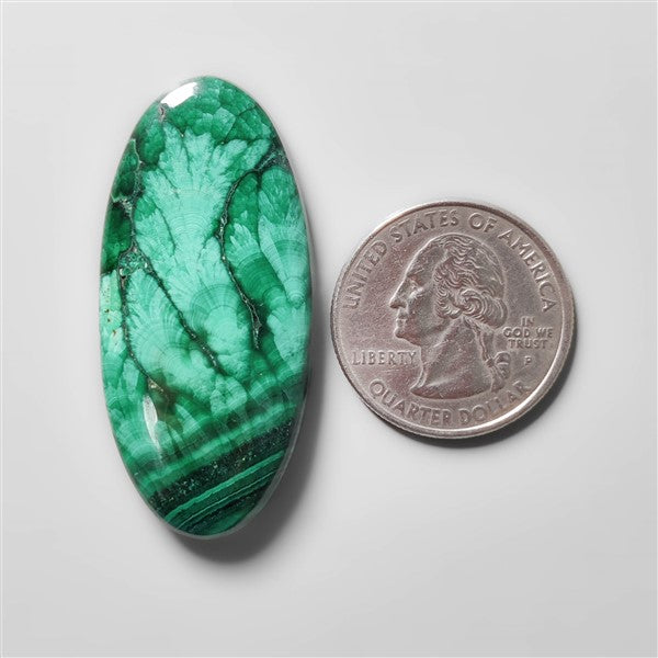 Selected Congo Malachite