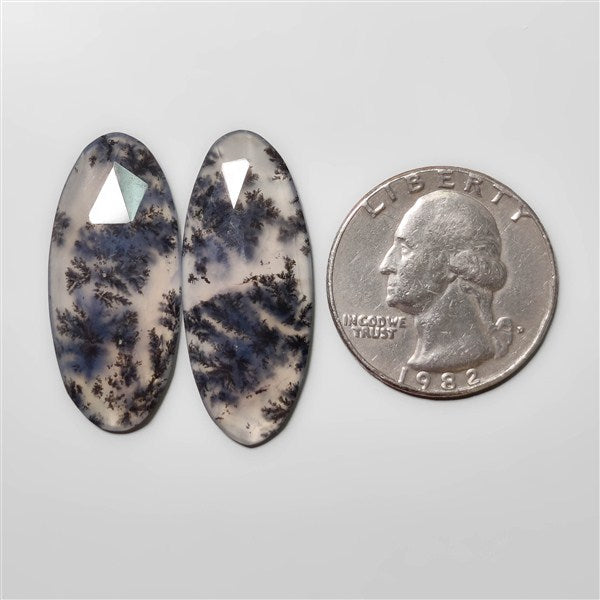 Dendritic Agate