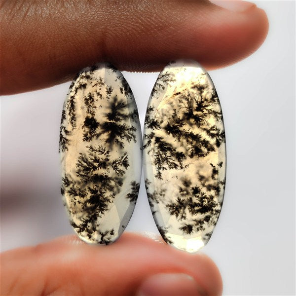 Dendritic Agate