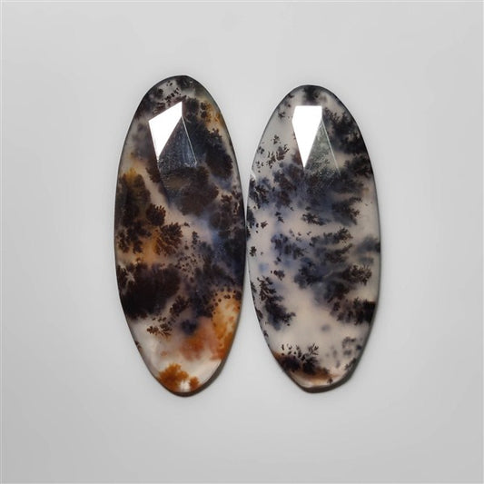 Dendritic Agate