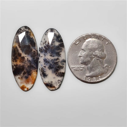 Dendritic Agate