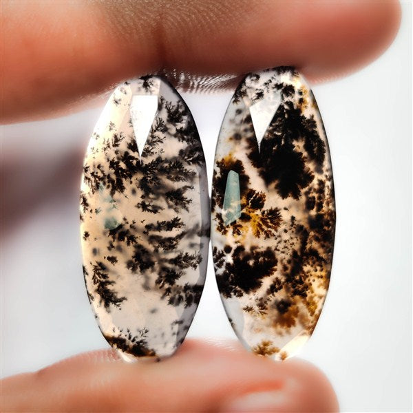 Dendritic Agate