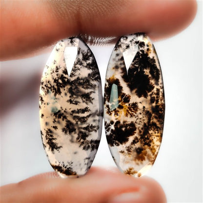 Dendritic Agate