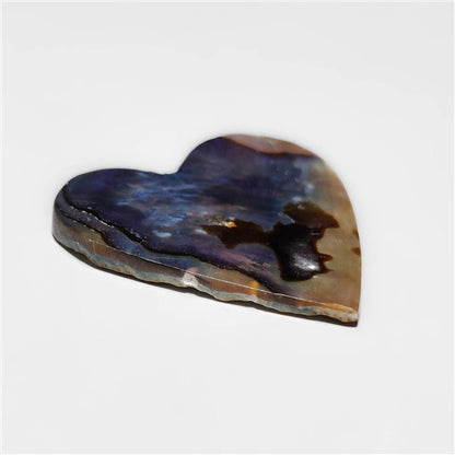 Abalone Shell