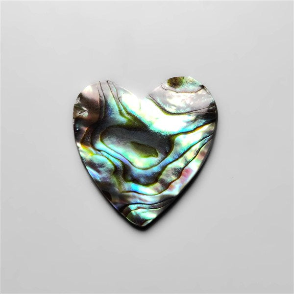 Abalone Shell