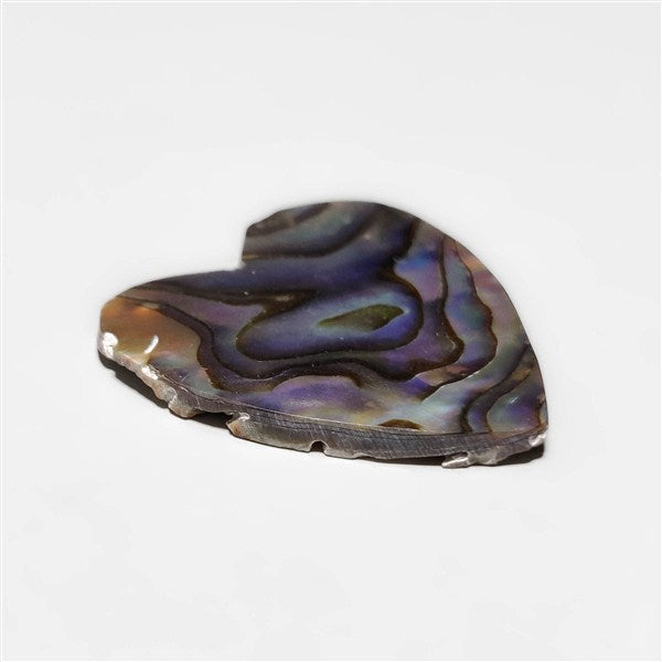 Abalone Shell