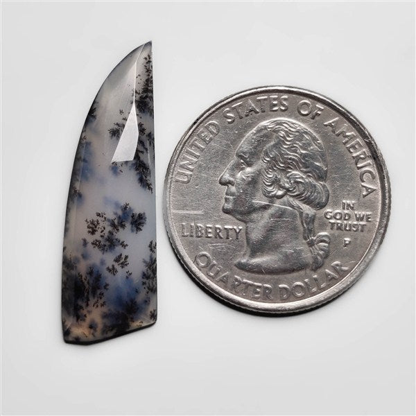 Dendritic Agate