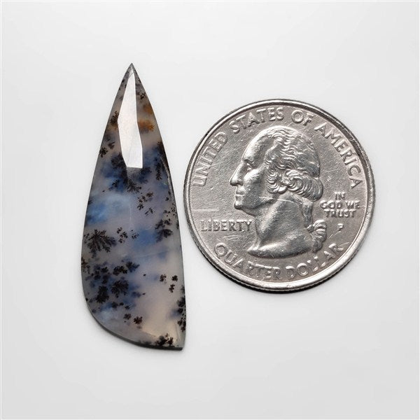 Dendritic Agate