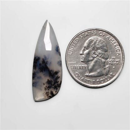 Dendritic Agate