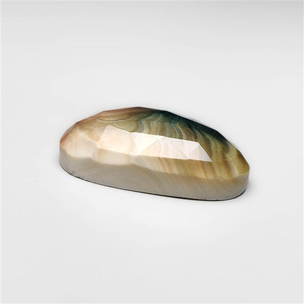 Shiva Eye Shell