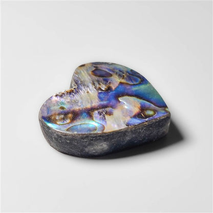 Abalone Shell