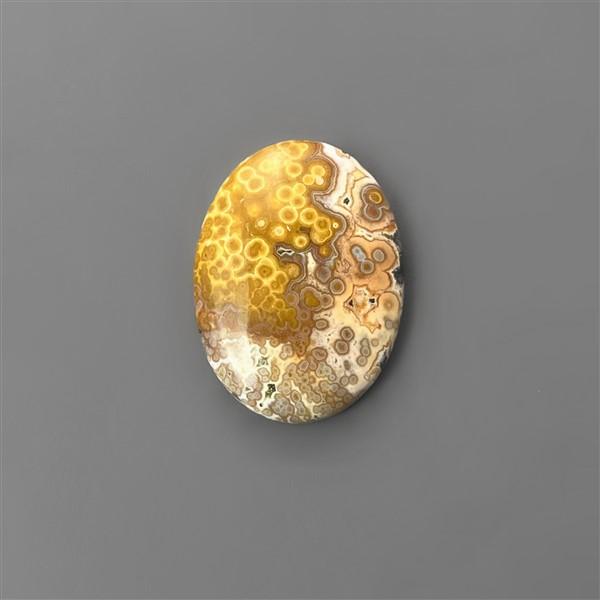 Ocean Jasper