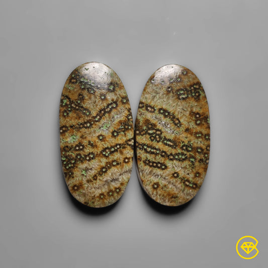 Ocean Jasper