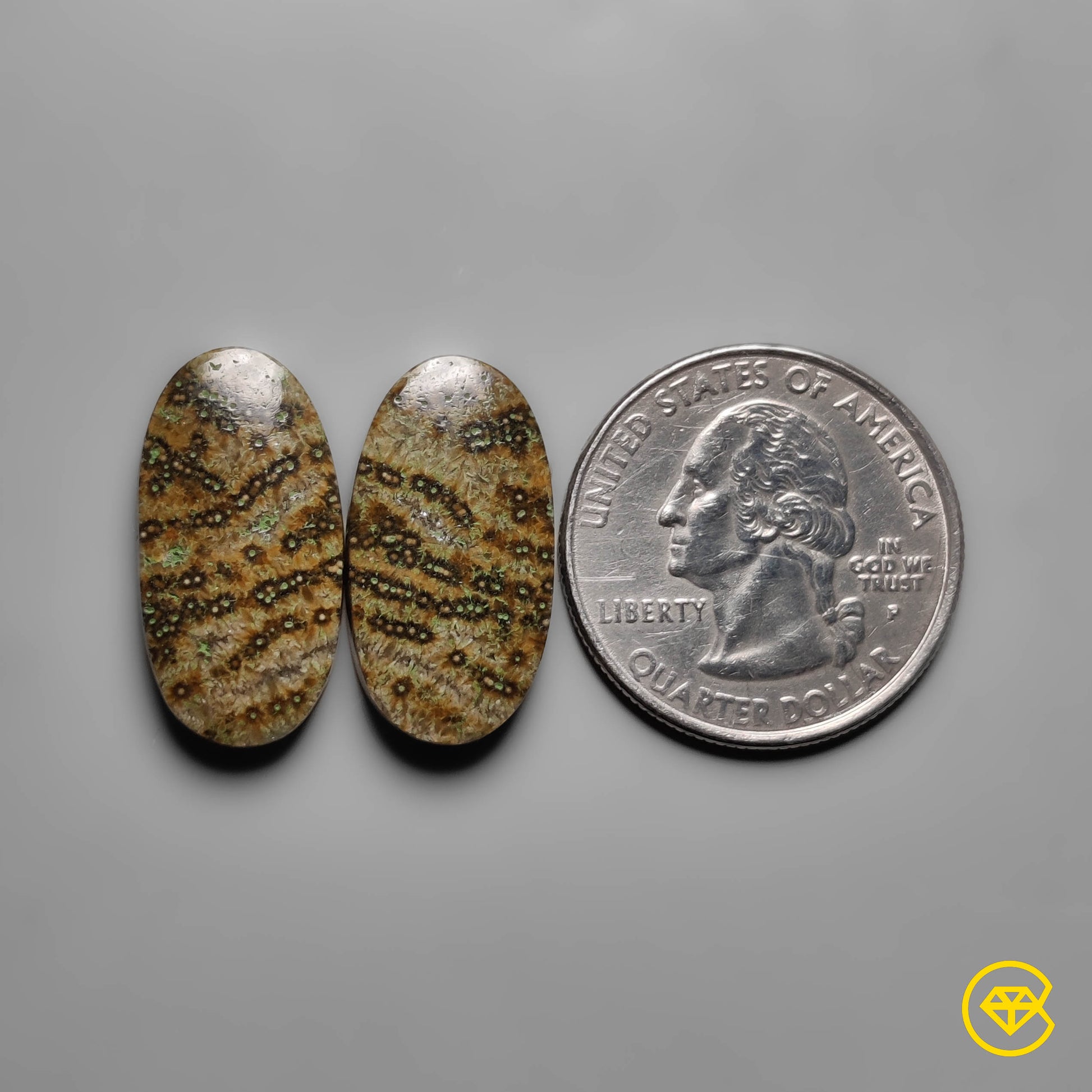 Ocean Jasper