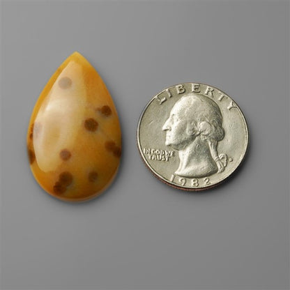 Agate|Polka Dot Agate