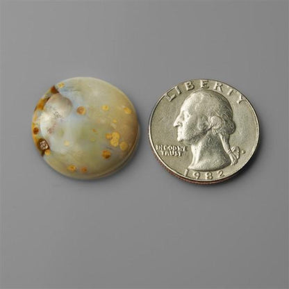 Agate|Polka Dot Agate