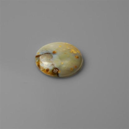 Agate|Polka Dot Agate