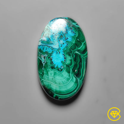 Chrysocolla|Malachite