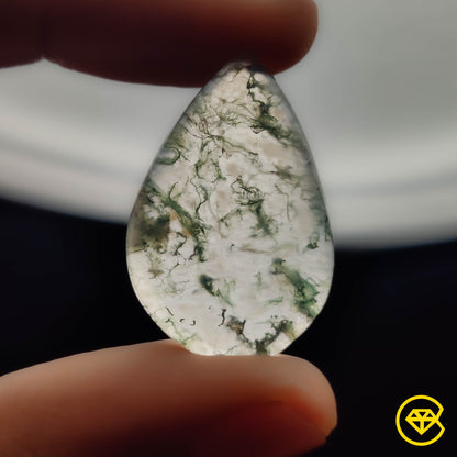 Crystal|Moss Agate