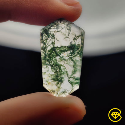 Crystal|Moss Agate