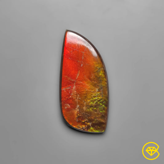 Ammolite