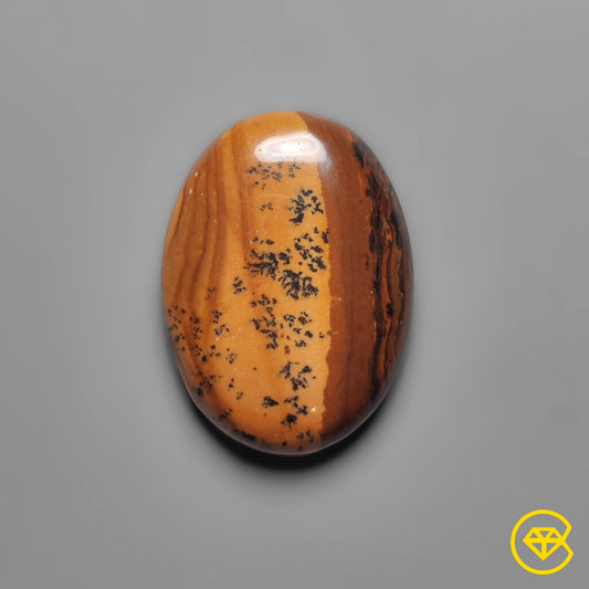 Picture Jasper