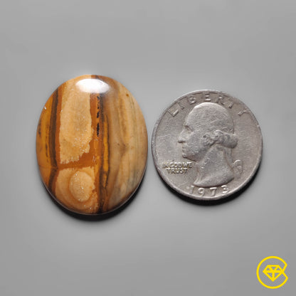 Picture Jasper