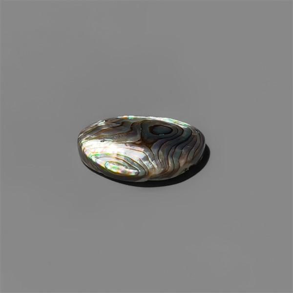 Abalone Shell|Shell