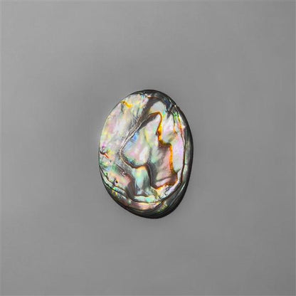 Abalone Shell|Shell