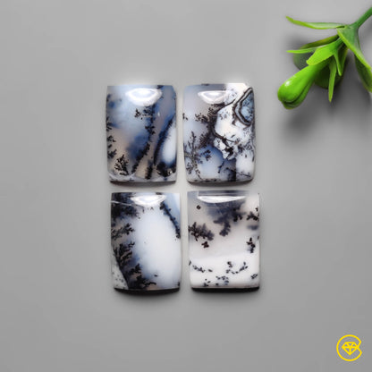 Dendritic Agate