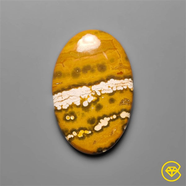 Ocean Jasper