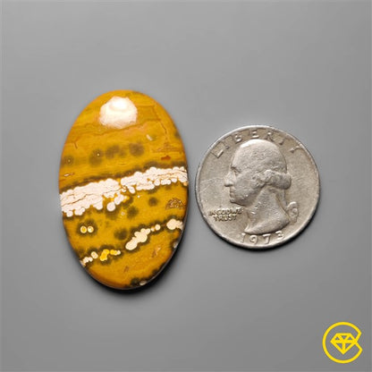 Ocean Jasper