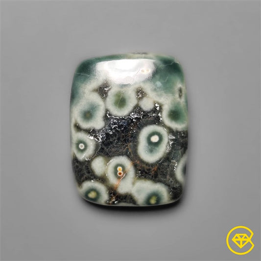 Ocean Jasper