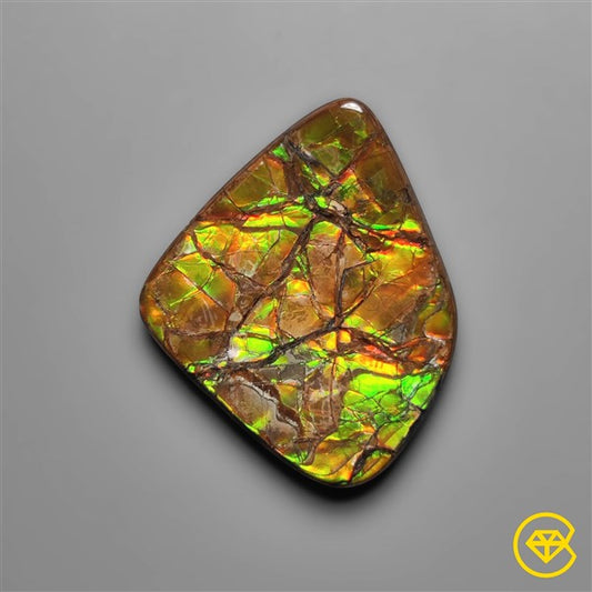 Ammolite