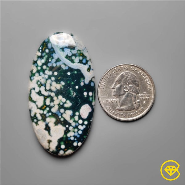 Ocean Jasper