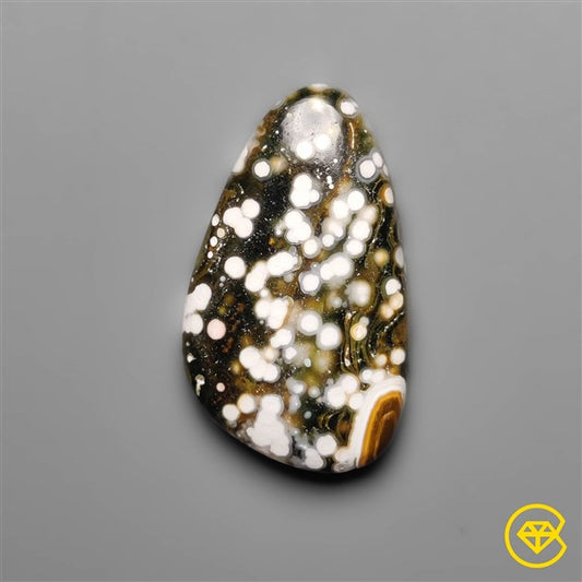 Ocean Jasper