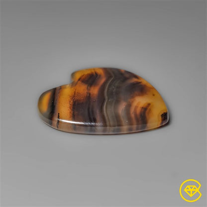 Montana Agate