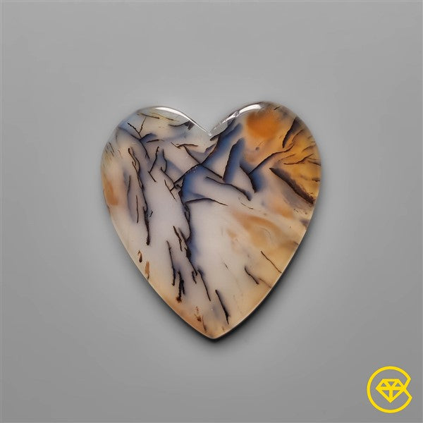 Montana Agate