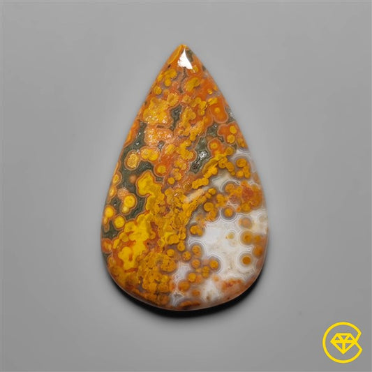 Ocean Jasper