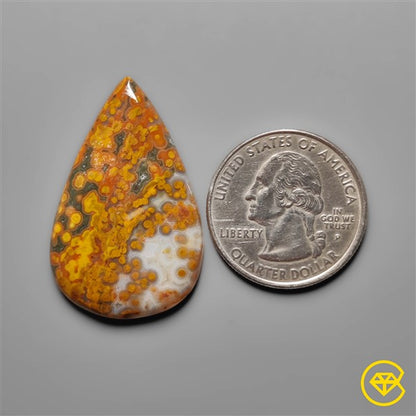 Ocean Jasper