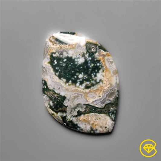 Ocean Jasper