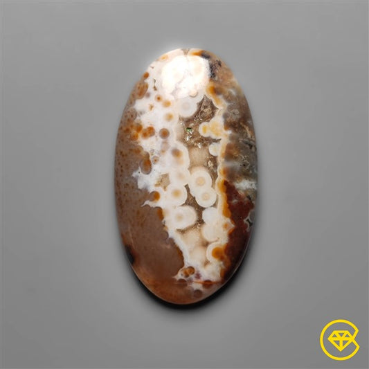 Ocean Jasper