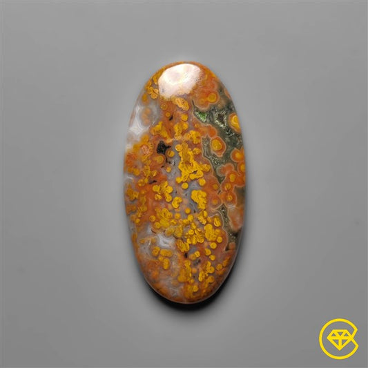 Ocean Jasper